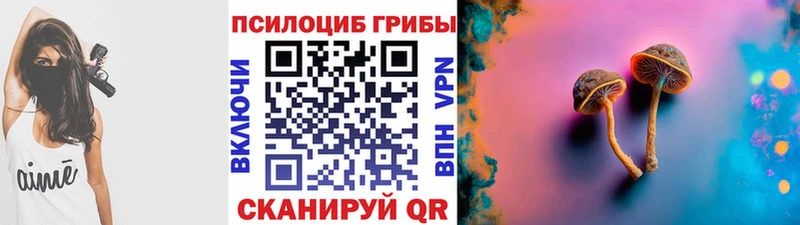 наркошоп  Минеральные Воды  omg ссылки  Псилоцибиновые грибы GOLDEN TEACHER 