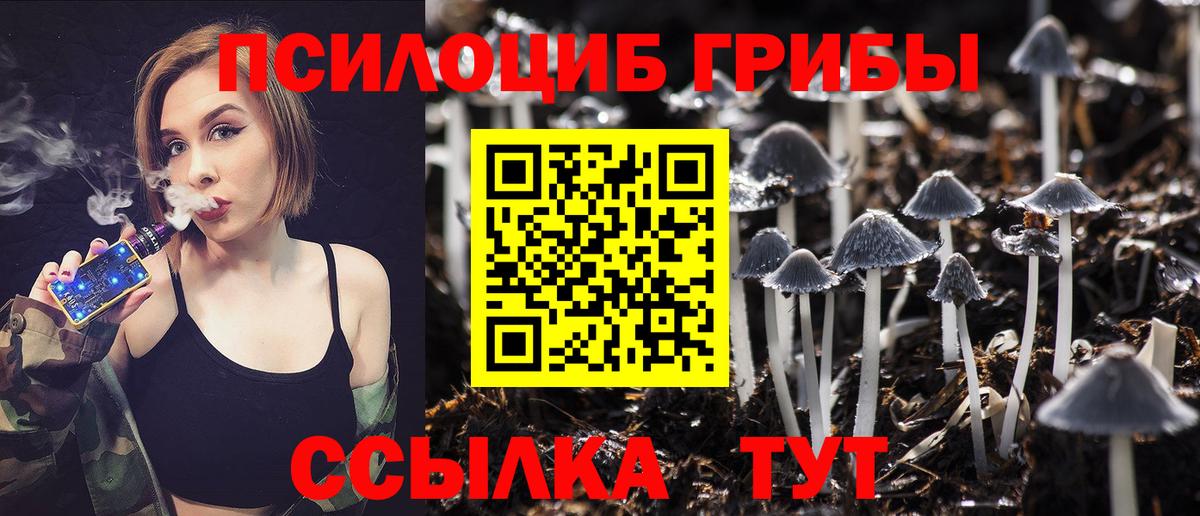Галлюциногенные грибы Magic Shrooms Минеральные Воды