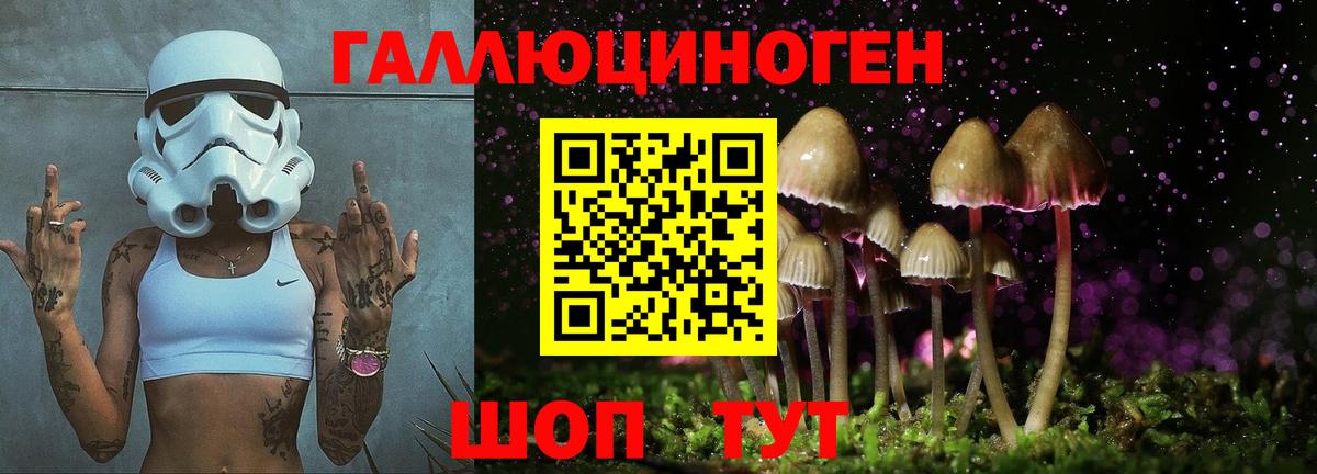 Галлюциногенные грибы Cubensis  Минеральные Воды  Псилоцибиновые грибы GOLDEN TEACHER 